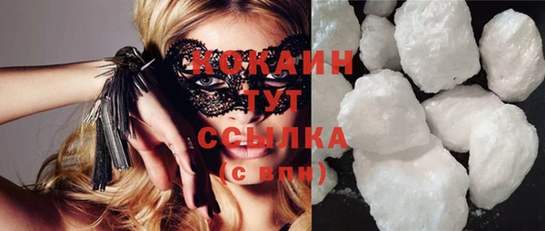 стаф Алзамай