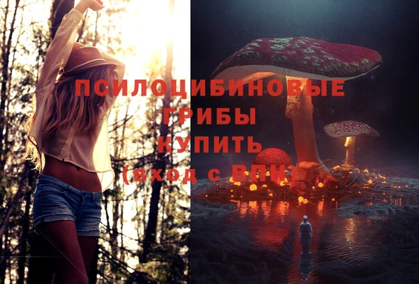 бошки Алексеевка