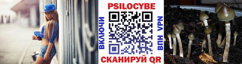 Псилоцибиновые грибы GOLDEN TEACHER  Сенгилей 