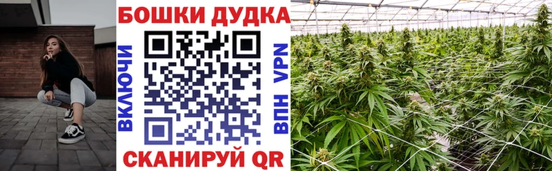 Каннабис гибрид Сенгилей